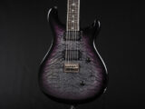 PRS ポール リード スミス カスタム 22 STD standard santana S2 Blue natural les paul