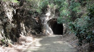 宇津ノ谷峠　明治のトンネル